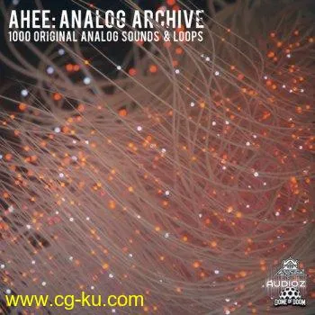 Splice Ahee: Analog Archive WAV-DECiBEL的图片1