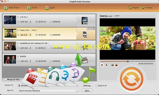 iOrgSoft Video Converter 5.4.0的图片1