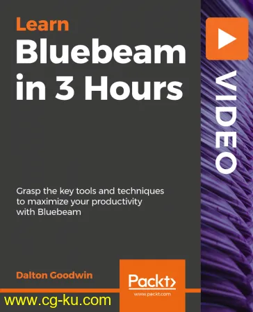 Bluebeam in 3 Hours的图片1