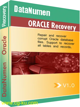 DataNumen Oracle Recovery 1.0.0.9的图片1