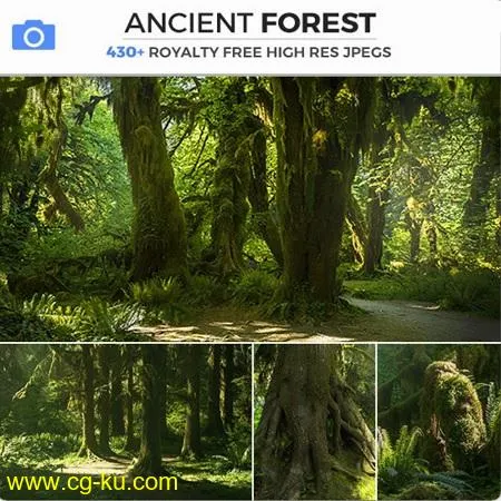 Photobash – Ancient Forest的图片1