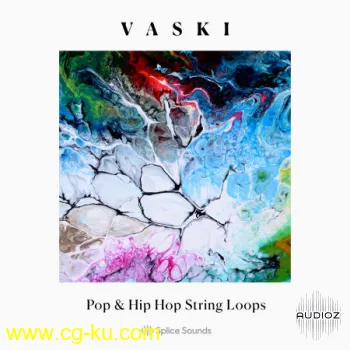Vaski Pop & Hip Hop String Loops WAV的图片1