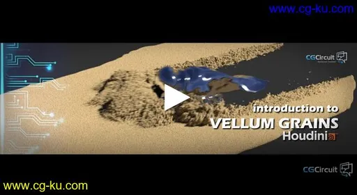 CG Circuit – Introduction to Vellum Grains的图片1