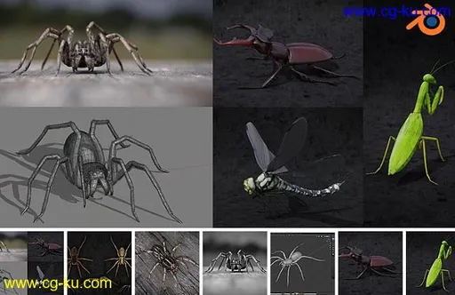 Blender Market – Insect And Spiders Creation Full Course的图片1