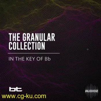 BT The Granular Collection In The Key Of Bb WAV的图片1