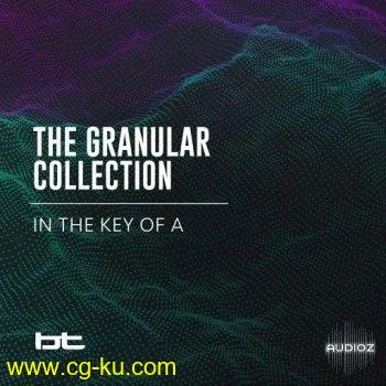 BT The Granular Collection In The Key Of A WAV的图片1