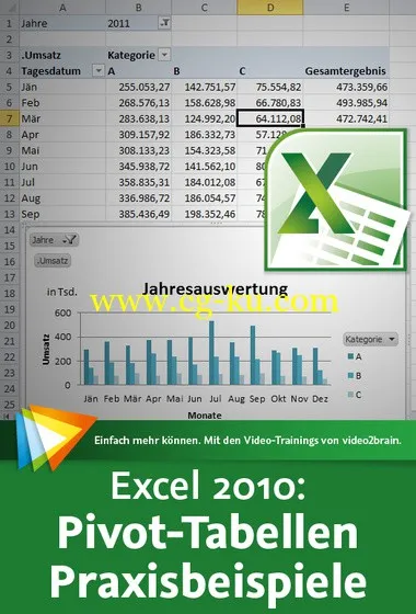 Excel 2010: Pivot-Tabellen – Praxisbeispiele的图片2