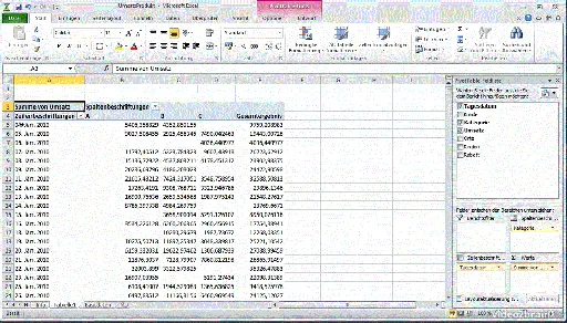 Excel 2010: Pivot-Tabellen – Praxisbeispiele的图片3