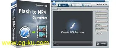ThunderSoft Flash to MP4 Converter 4.1.0的图片1