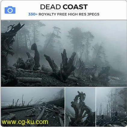 Photobash – Dead Coast的图片1