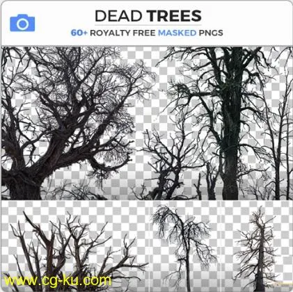 Photobash – Dead Trees的图片1