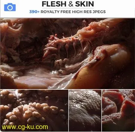 Photobash – Flesh & Skin的图片1