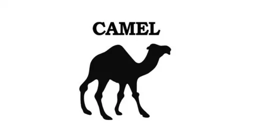 Apache Camel for Beginners – Learn by Coding in Java的图片1