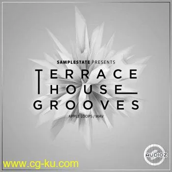 Samplestate Terrace House Grooves MULTiFORMAT的图片1