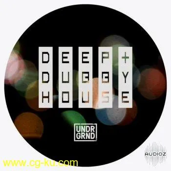 UNDRGRND Sounds Deep and Dubby House MULTiFORMAT-DECiBEL的图片1