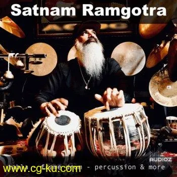 The Loop Loft Satnam Ramgotra Vol 1 WAV-DECiBEL的图片1