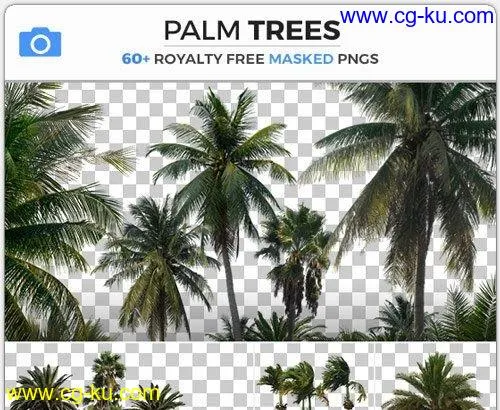 PHOTOBASH – Palm Trees的图片1