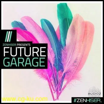 Zenhiser Future Garage MULTiFORMAT-DECiBEL的图片1