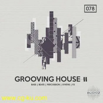 Bingoshakerz Grooving House 2 MULTiFORMAT-DECiBEL的图片1