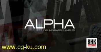 BHK Alpha Drum and Bass MULTiFORMAT-DECiBEL的图片1