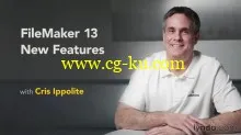 FileMaker 13 New Features的图片1