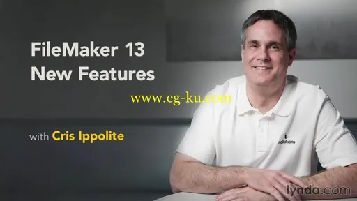 FileMaker 13 New Features的图片2