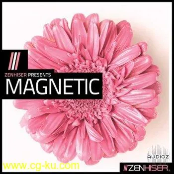 Zenhiser Magnetic MULTiFORMAT-DECiBEL的图片1