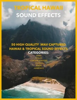 Jakob Owens Productions Tropical Hawaii Sound Effects Pack Vol.1 WAV的图片1