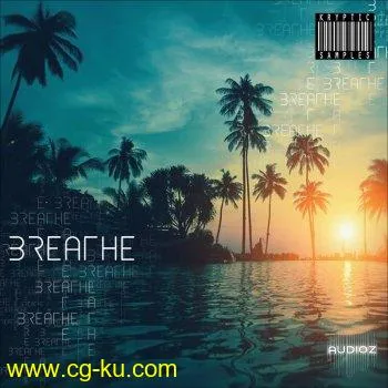 Kryptic Samples Breathe WAV MIDI的图片1