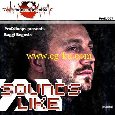 ProDJLoops – Sounds Like Baggi Begovic (WAV)的图片1