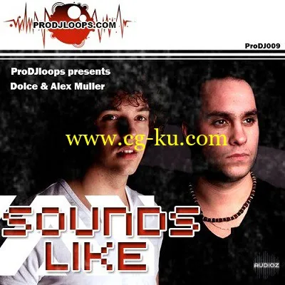 ProDJLoops – Sounds Like Dolce & Alex Muller (WAV)的图片1