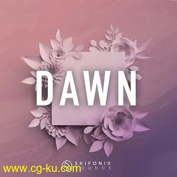 Skifonix Sounds Dawn Future House WAV MiDi SYNTH PRESETS DAW TEMPLATE-DISCOVER的图片1