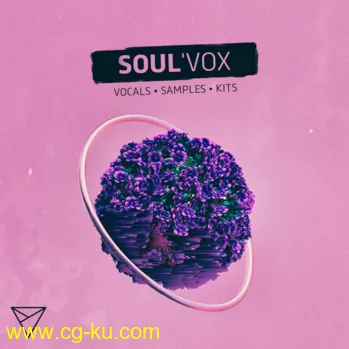 Unmute SoulVox WAV MiDi-DISCOVER的图片1