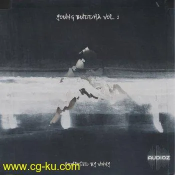 Vinnyx – Young Buddha Vol.2 (Compositions and Stems) WAV的图片1