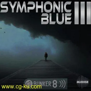 Bunker 8 Digital Labs Symphonic Blue 3 MULTiFORMAT-DECiBEL的图片1