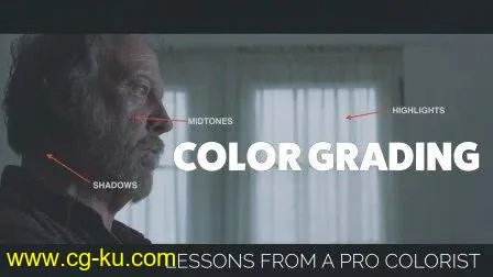 Color Grading: Introduction with a Pro Colorist的图片1