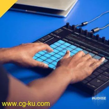 Producertech Workflow Techniques with Ableton Push TUTORiAL的图片1