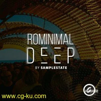 Samplestate Rominimal Deep MULTiFORMAT-DECiBEL的图片1