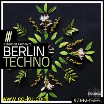 Zenhiser Berlin Techno MULTiFORMAT-DECiBEL的图片1