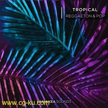 Laniakea Sounds Tropical Reggaeton And Pop WAV-DISCOVER的图片1