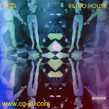 Sample Magic Retro House MULTiFORMAT的图片1