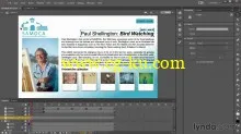 Lynda – Up and Running with Flash Professional CC 2013的图片1