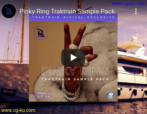 TrakTrain Pinky Ring WAV的图片1