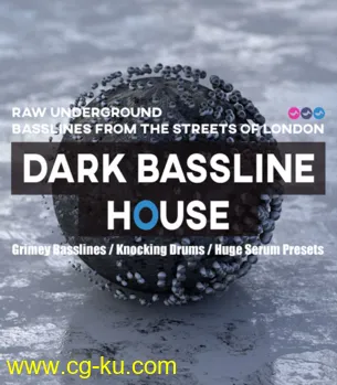 Soundsmiths Dark Bassline House WAV XFER RECORDS SERUM-DISCOVER的图片1