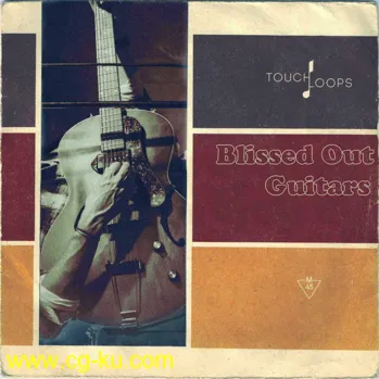 Touch Loops Blissed Out Guitars WAV-DISCOVER的图片1