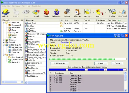 Internet Download  Manager v6.16.1 下载工具的图片2