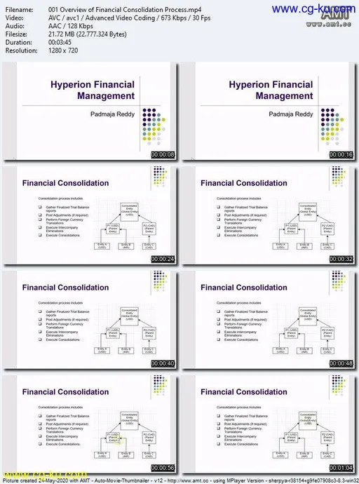 Hyperion Financial Management Advanced Course的图片1