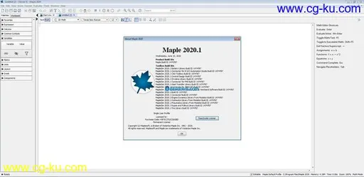 Maplesoft Maple 2020.1.1的图片2