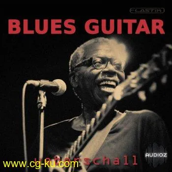 Ueberschall Blues Guitar ELASTIK的图片1