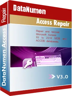 DataNumen Access Repair 3.0.0.0的图片1